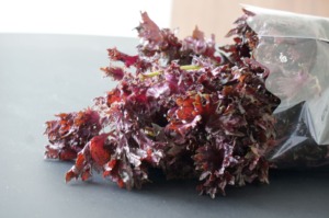 私たちは、高齢者施設向けに調理済みのクックチル食材をお届けしています。安全でおいしく、手間をかけずに温めるだけで提供できます。