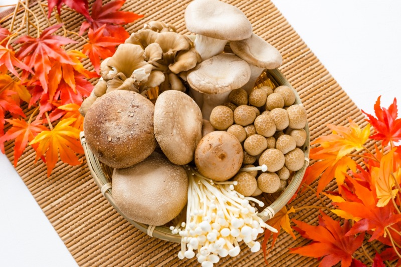 栄養豊富な旬の食材を取り入れて季節を楽しむ。